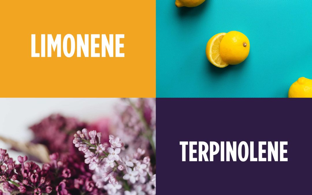 The Farmacy Santa Ana Guide to Terpenes — Limonene & Terpinolene