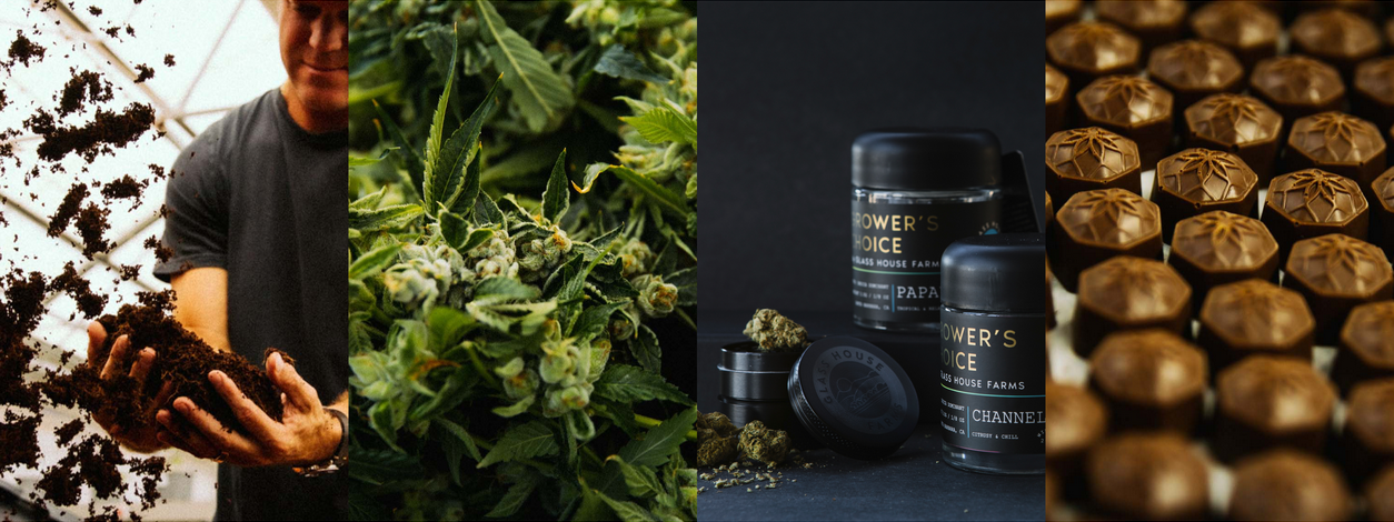 California's Favorite Cannabis Dispensaries